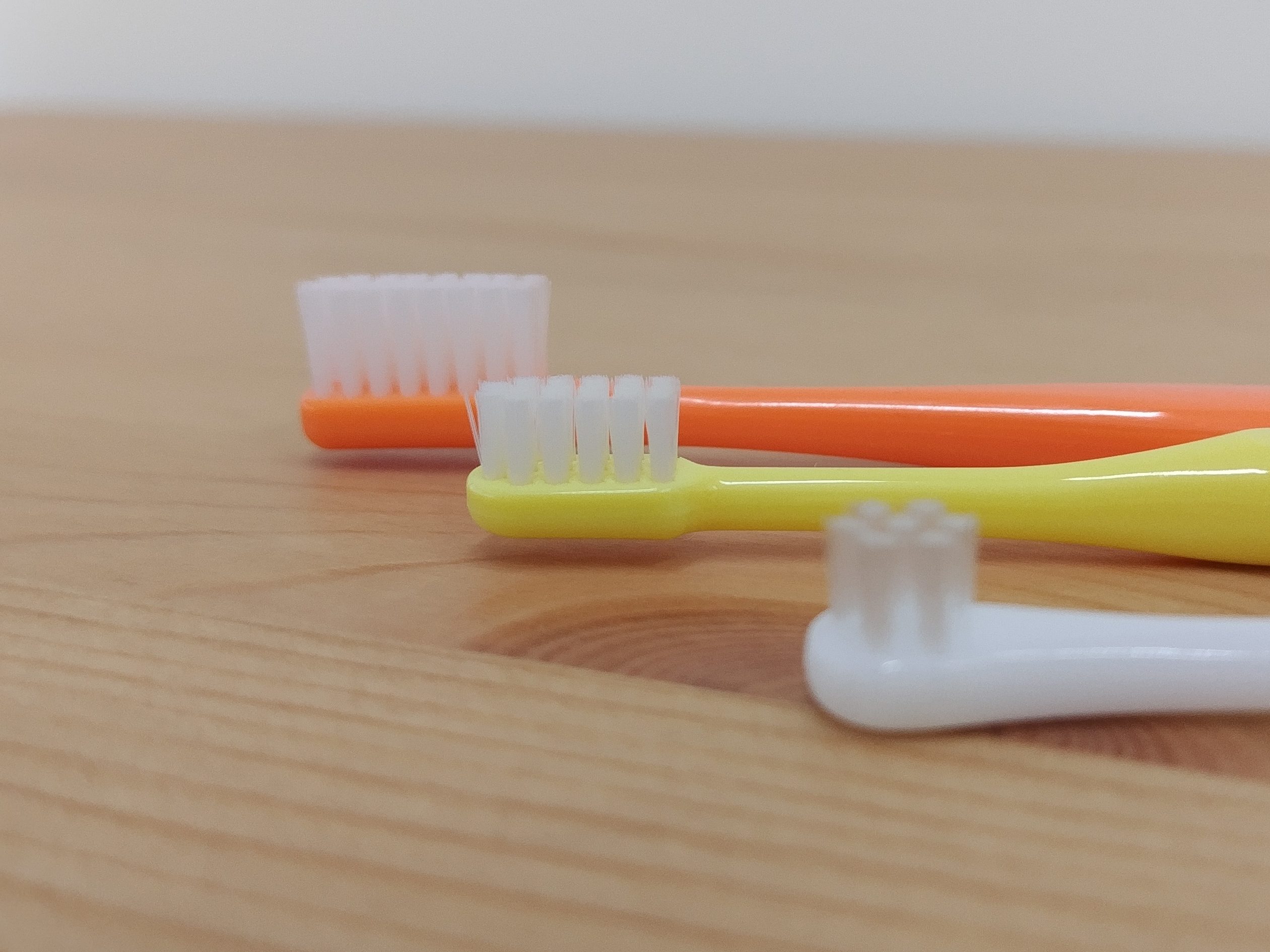 ３本の歯ブラシの写真、毛の長さの比較用
